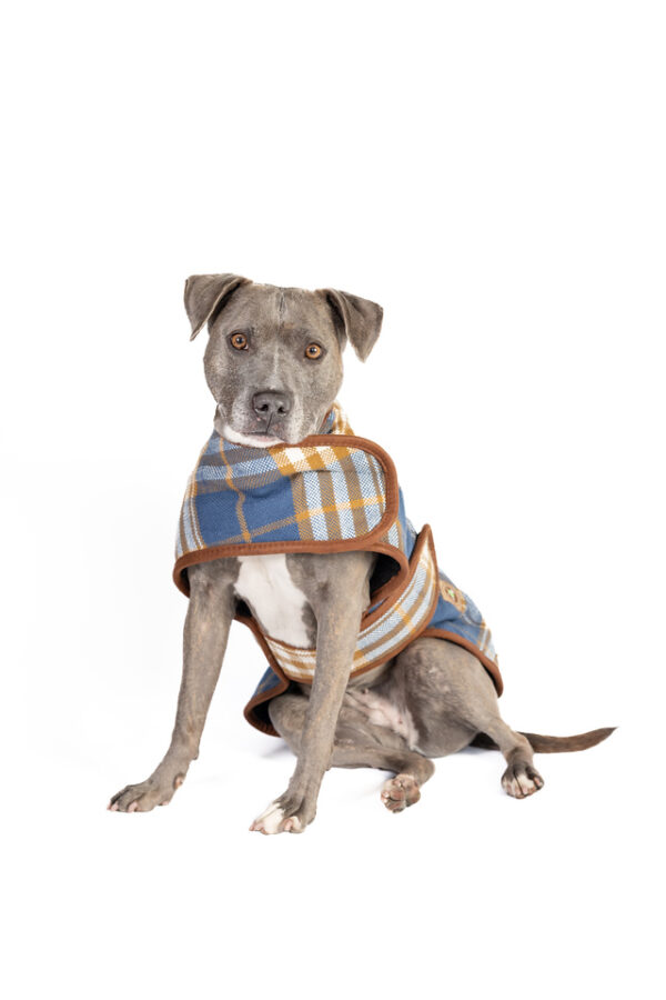 Western Plaid Wool Dog Blanket Coat - Image 3