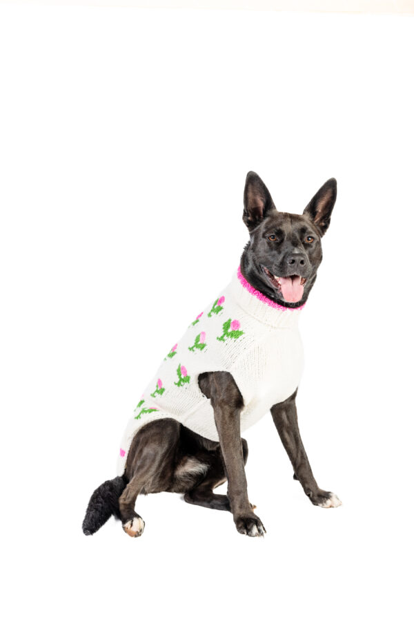Rose Bud Dog Sweater - Image 6