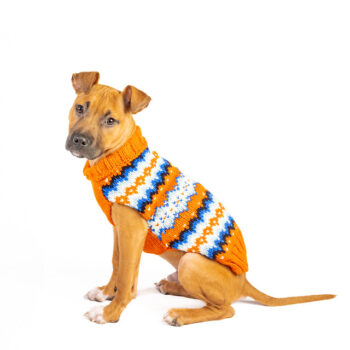 Campfire Dog Sweater