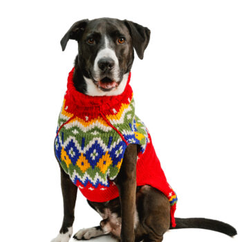 Holiday Fairisle Dog Sweater