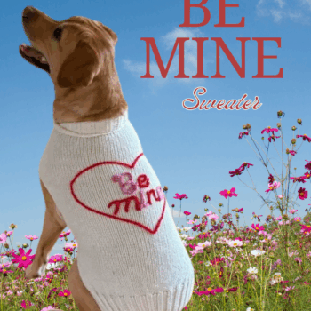 Be Mine Dog Sweater