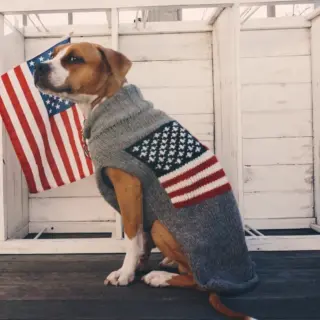 Chilly Dog Sweaters - Hand-Knit Pet Products